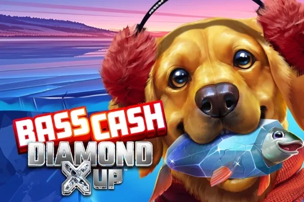 Bass Cash Diamond X UP
